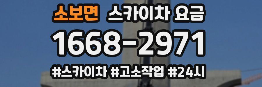 소보면 스카이차 요금