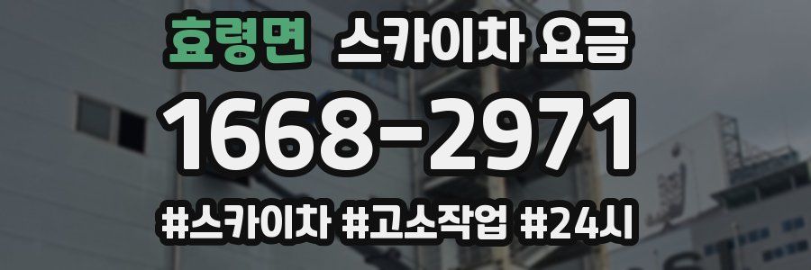 효령면 스카이차 요금