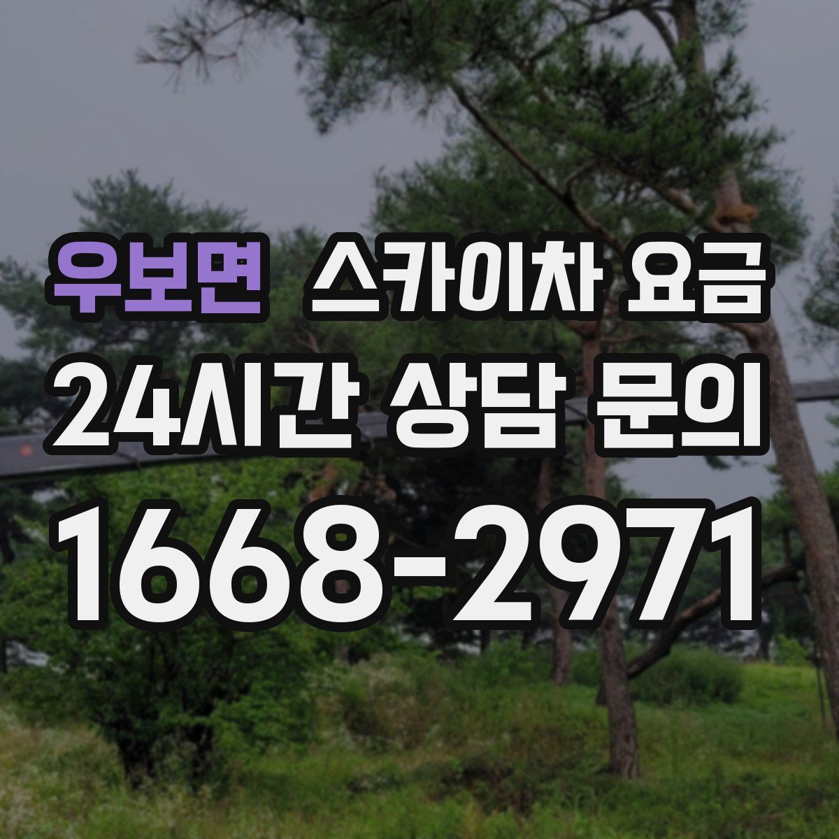 우보면 스카이차 요금