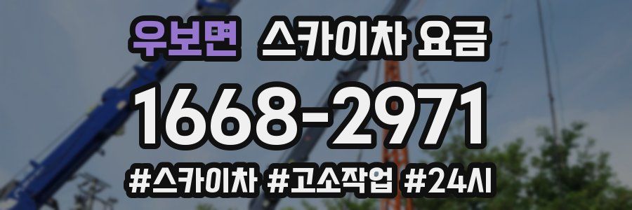 우보면 스카이차 요금