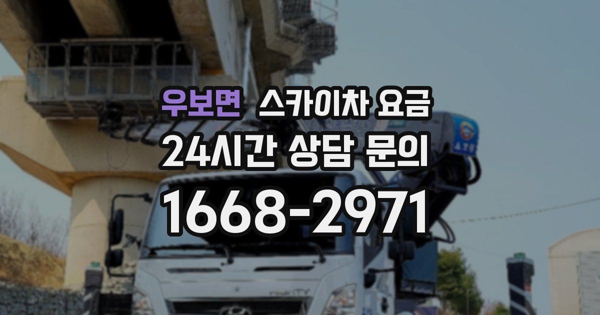 우보면 스카이차 요금