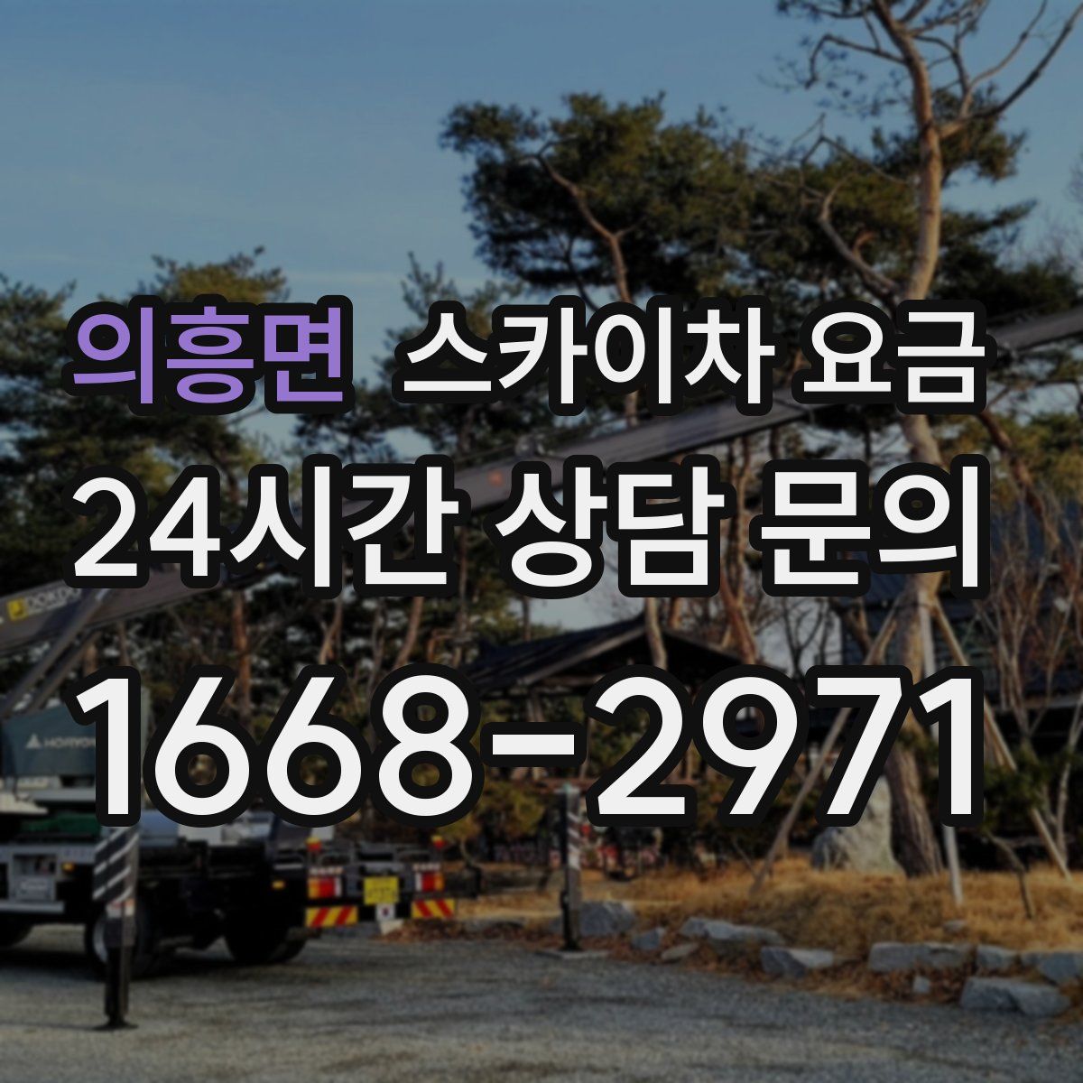 의흥면 스카이차 요금