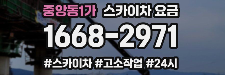 중앙동1가 스카이차 요금