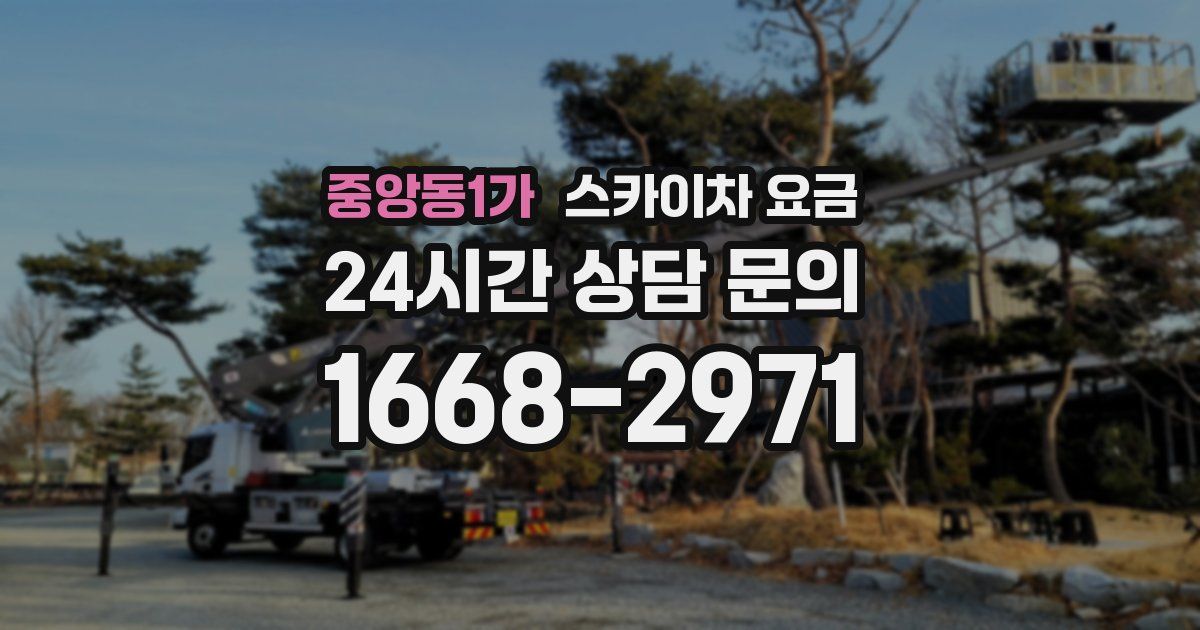 중앙동1가 스카이차 요금