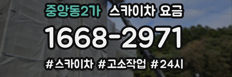 중앙동2가 스카이차 요금