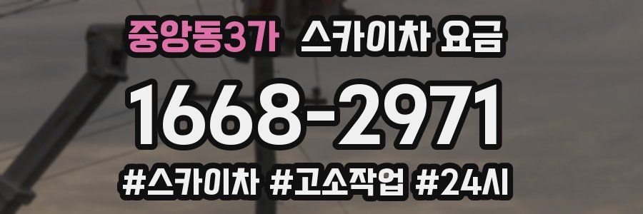 중앙동3가 스카이차 요금