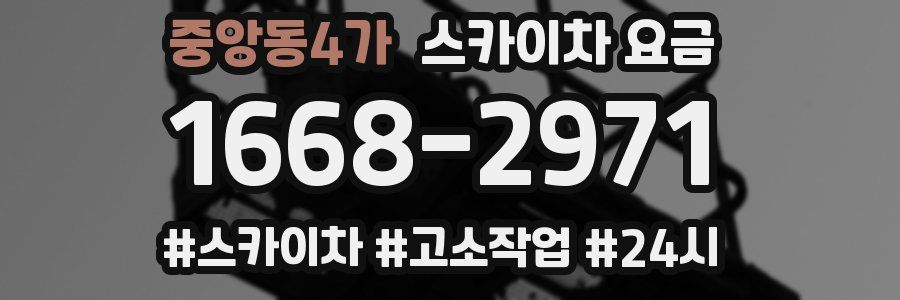 중앙동4가 스카이차 요금
