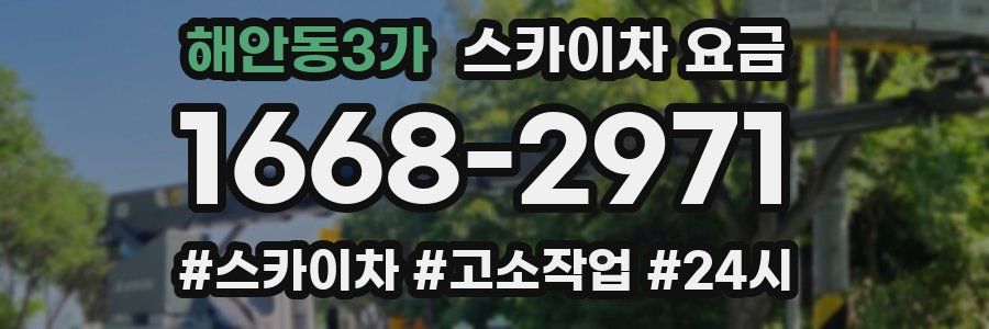 해안동3가 스카이차 요금