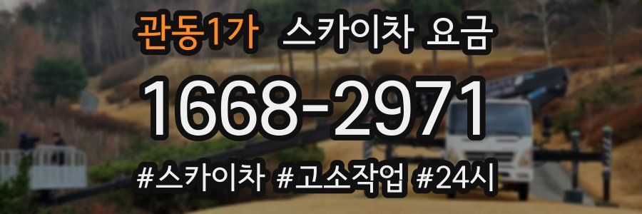 관동1가 스카이차 요금
