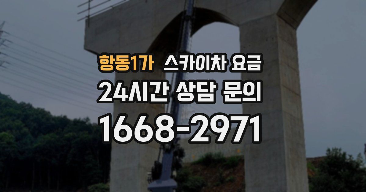 항동1가 스카이차 요금