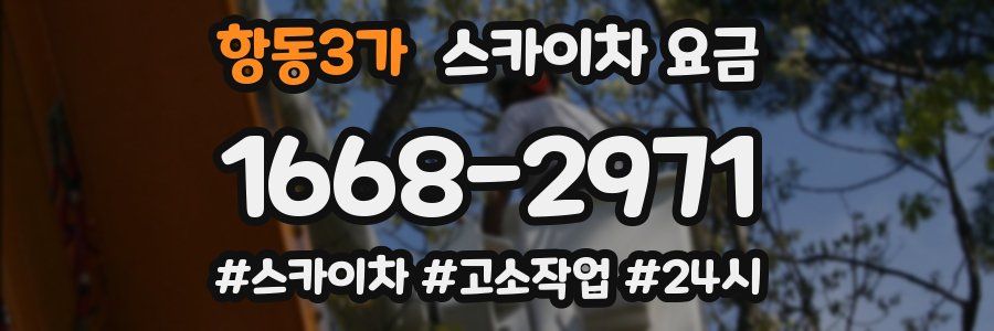항동3가 스카이차 요금