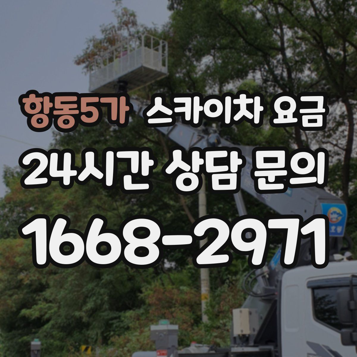 항동5가 스카이차 요금