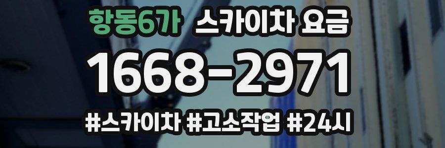 항동6가 스카이차 요금