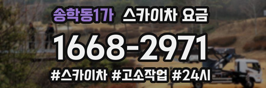 송학동1가 스카이차 요금