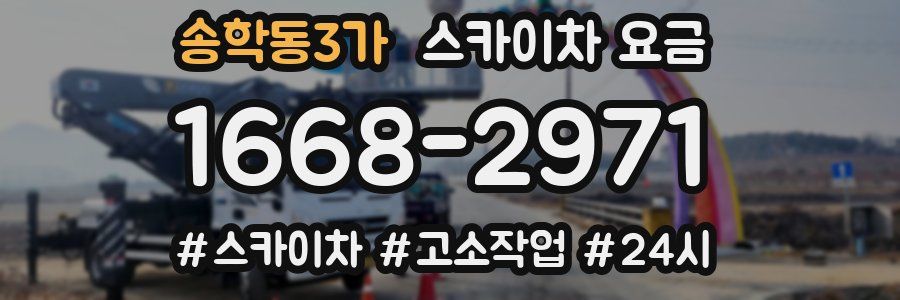 송학동3가 스카이차 요금