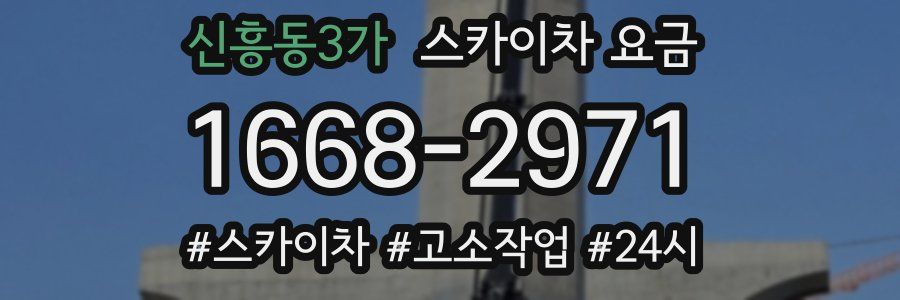 신흥동3가 스카이차 요금