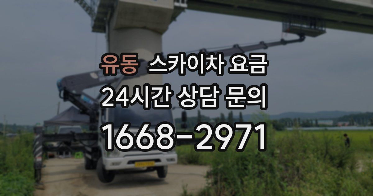유동 스카이차 요금