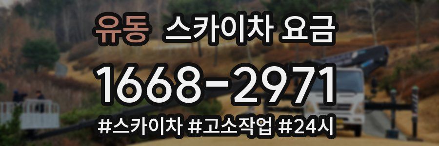 유동 스카이차 요금