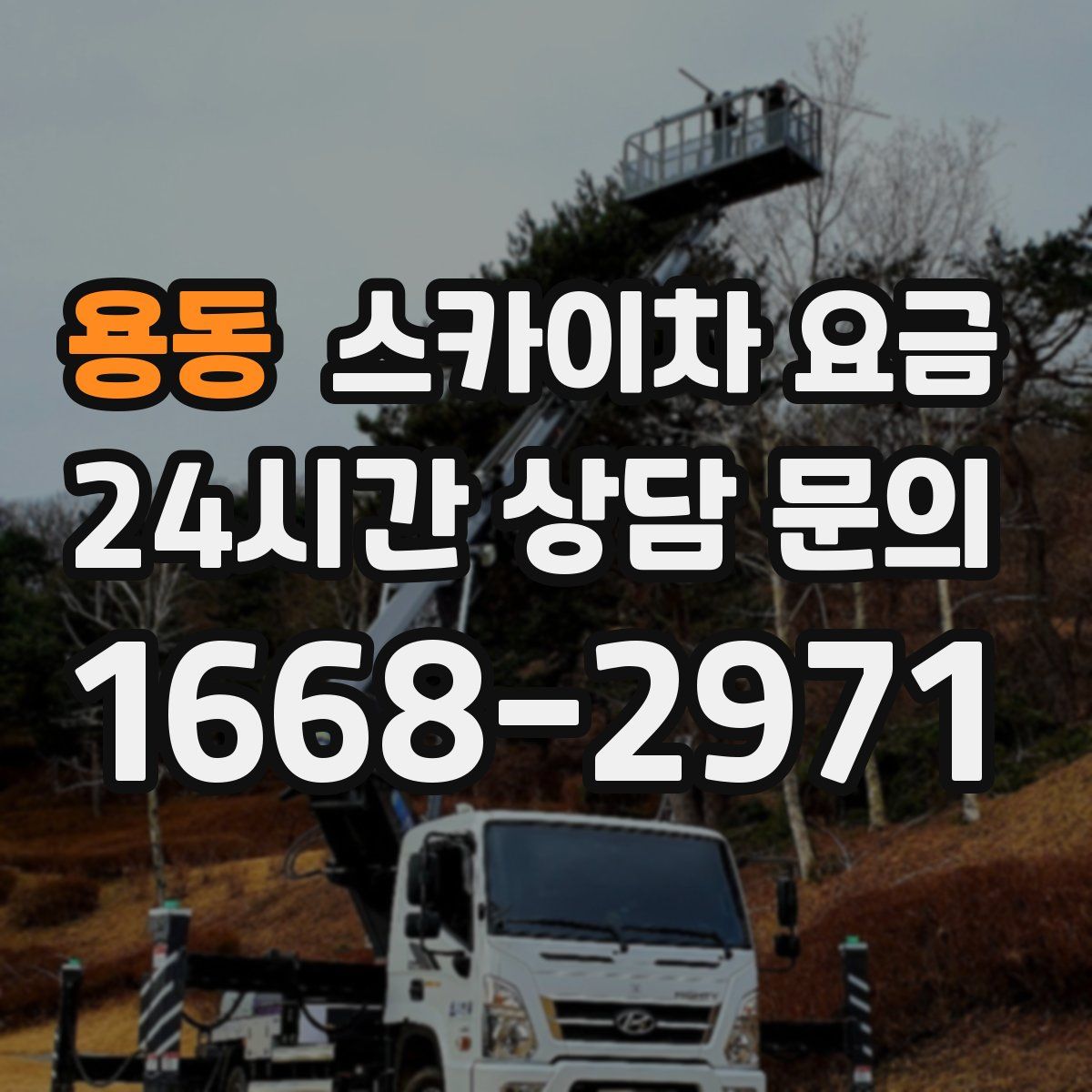 용동 스카이차 요금