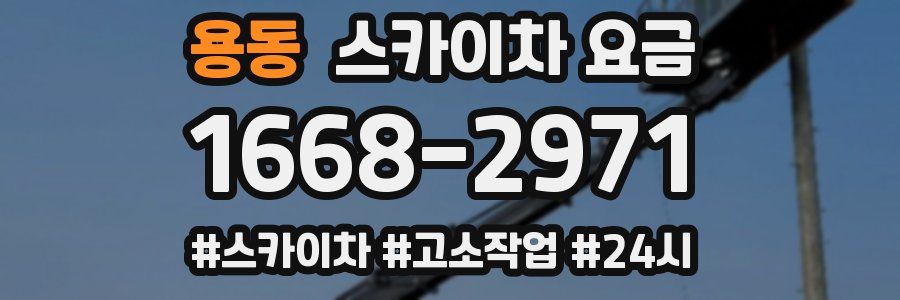용동 스카이차 요금