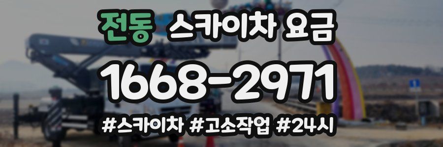 전동 스카이차 요금