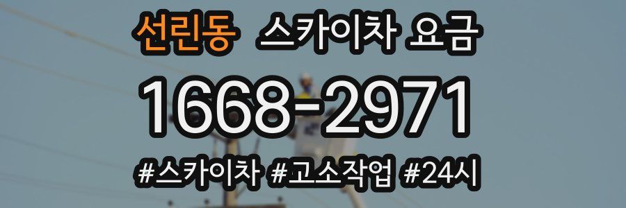 선린동 스카이차 요금