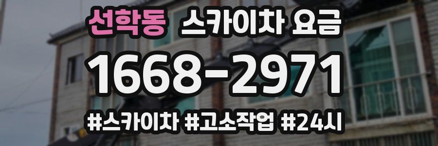 선학동 스카이차 요금