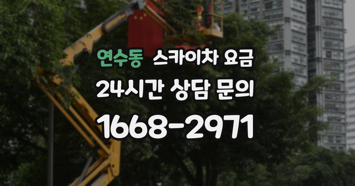 연수동 스카이차 요금