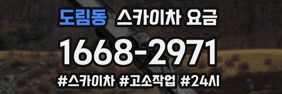 도림동 스카이차 요금