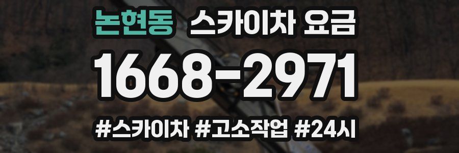논현동 스카이차 요금