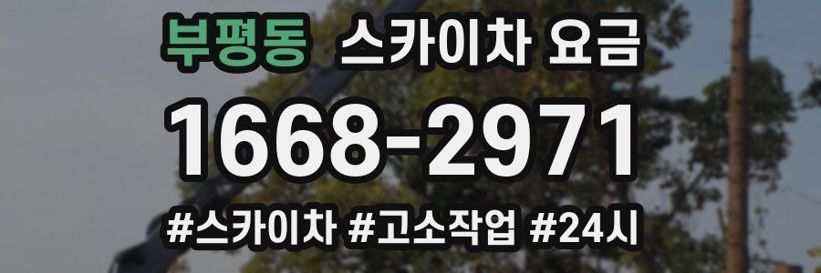 부평동 스카이차 요금