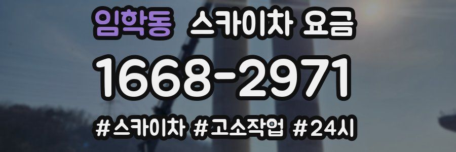 임학동 스카이차 요금