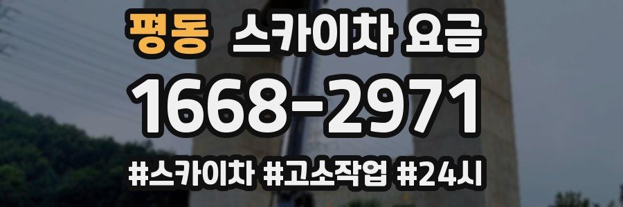 평동 스카이차 요금