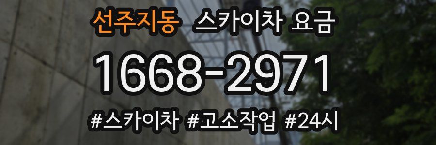 선주지동 스카이차 요금