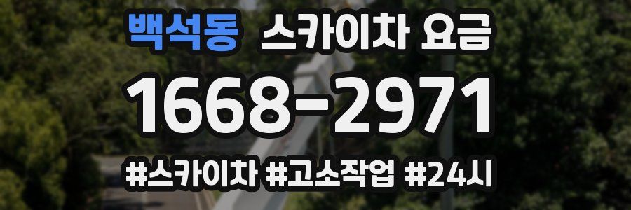백석동 스카이차 요금