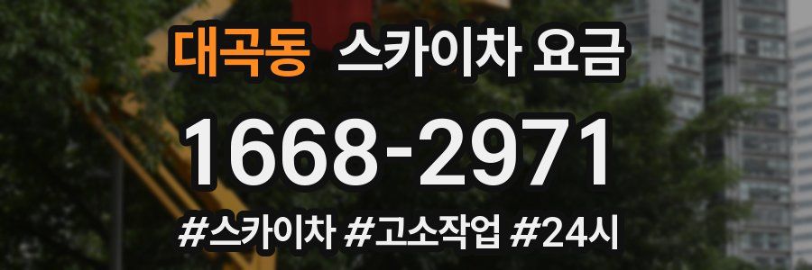 대곡동 스카이차 요금