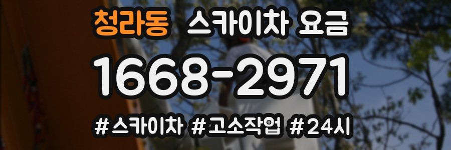 청라동 스카이차 요금