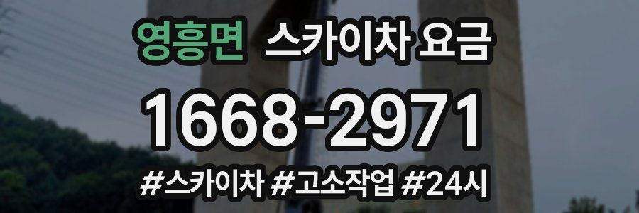 영흥면 스카이차 요금