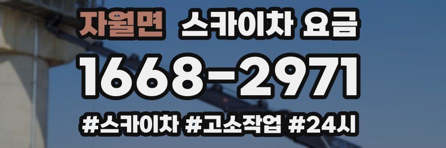 자월면 스카이차 요금