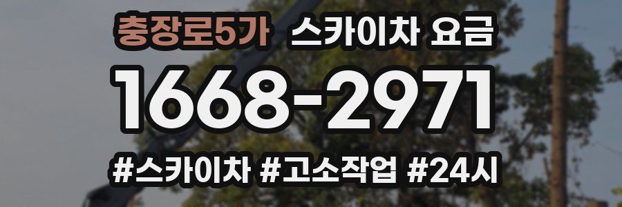 충장로5가 스카이차 요금