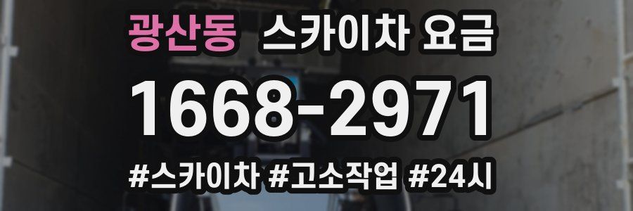 광산동 스카이차 요금