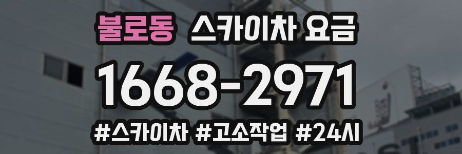 불로동 스카이차 요금