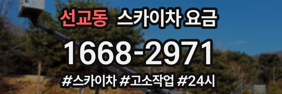 선교동 스카이차 요금