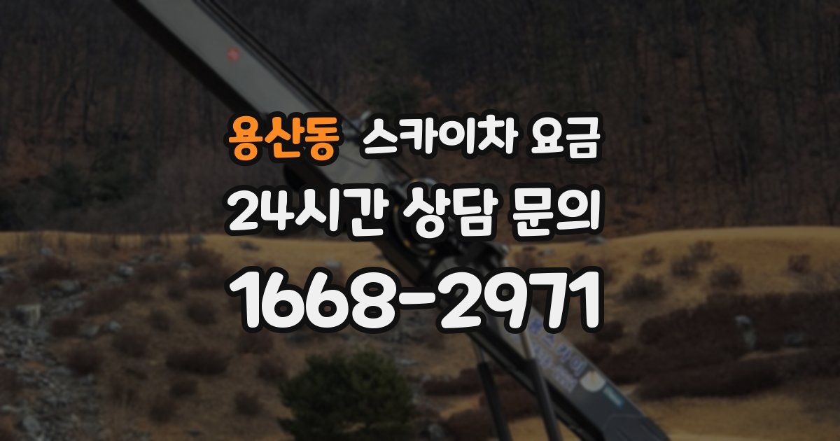 용산동 스카이차 요금