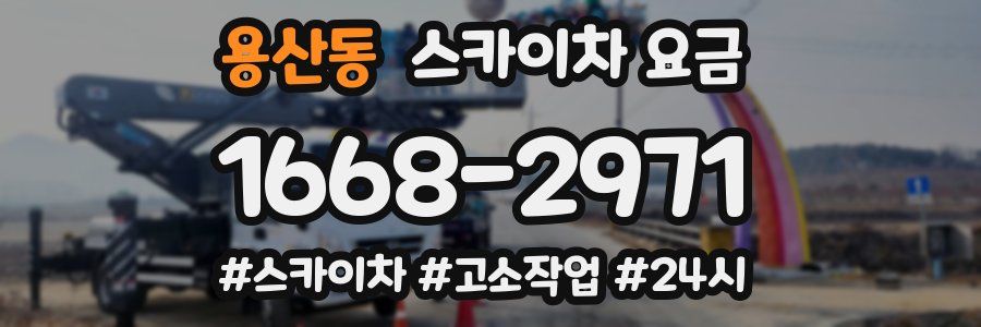 용산동 스카이차 요금