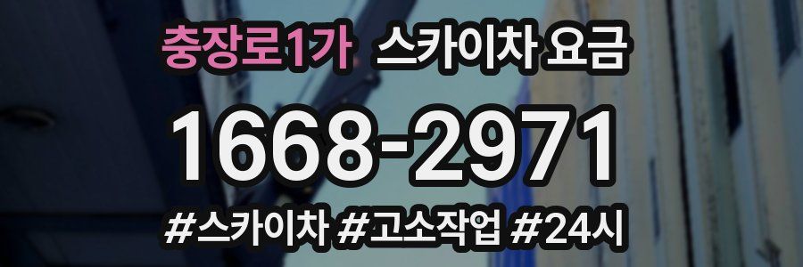 충장로1가 스카이차 요금