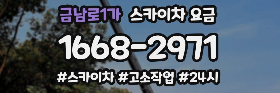 금남로1가 스카이차 요금