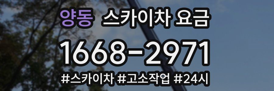 양동 스카이차 요금