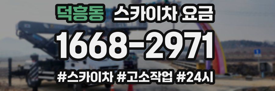 덕흥동 스카이차 요금