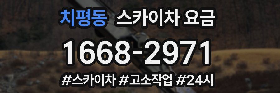 치평동 스카이차 요금